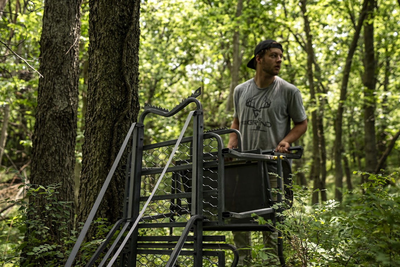 Building Better Habitat – How to Optimize Your Property for Whitetail Deer and Hunting Season Success