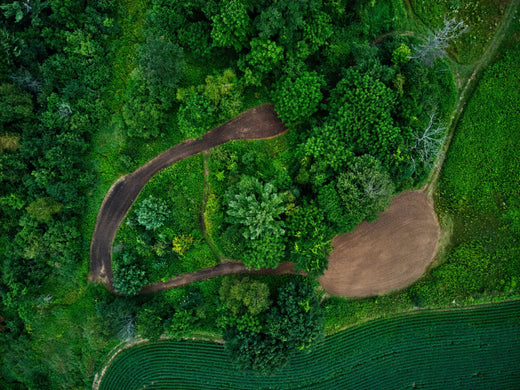 Backwoods Food Plots