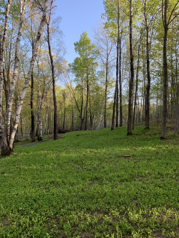 Frost Seeding Perennials