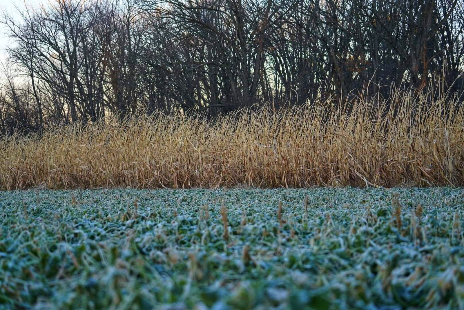 Access is Everything: How to Get To and From Your Stand Without Busting Your Hunt