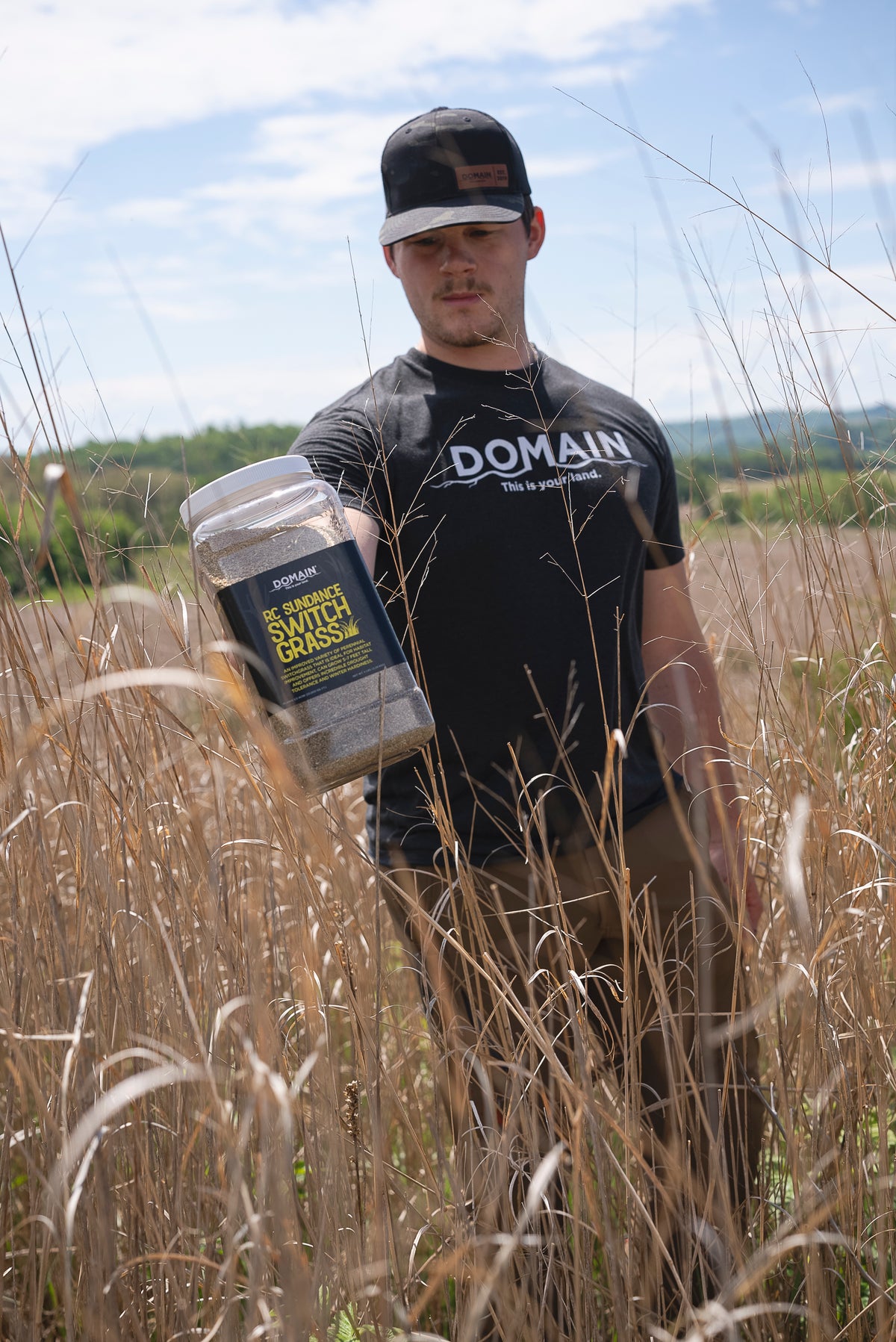 RC Sundance Switchgrass Habitat Seed