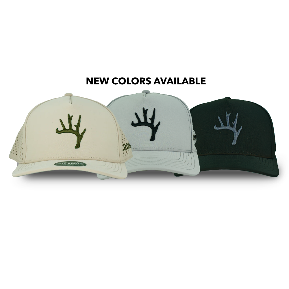 Sheddy Cut Above Hat