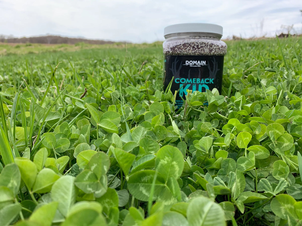 Perennial Bundle Food Plot Seed