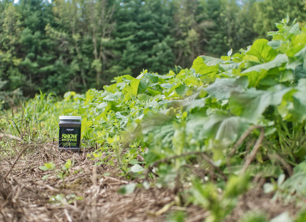 Show Stopper™ Food Plot Seed