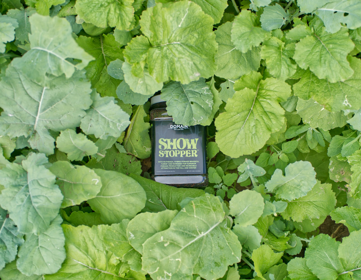 Show Stopper™ Food Plot Seed