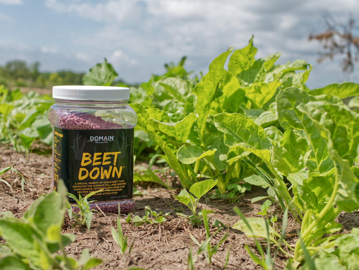 Beet Down™ Food Plot Seed