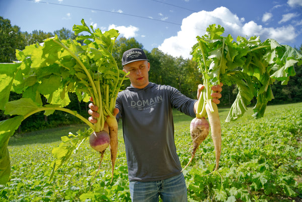 bio様　3Kg 食べごろサイズ（6月中旬発送） Big Sexy™ Food Plot Seed - Domain Outdoor