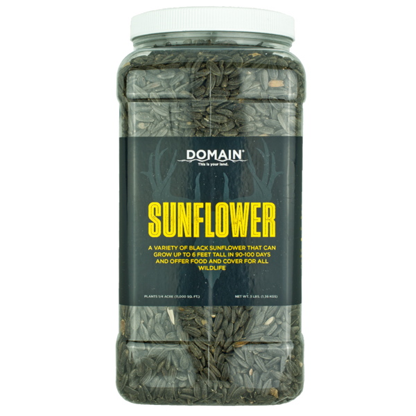 black sunflower seeds to plant Sunflower Food Plot Seed