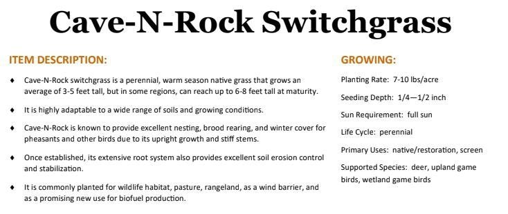 Cave-n-Rock Switchgrass - 5 Lbs. (1/2 Acre)