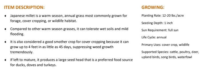 Japanese Millet - 5 Lbs. (1/4 Acre)