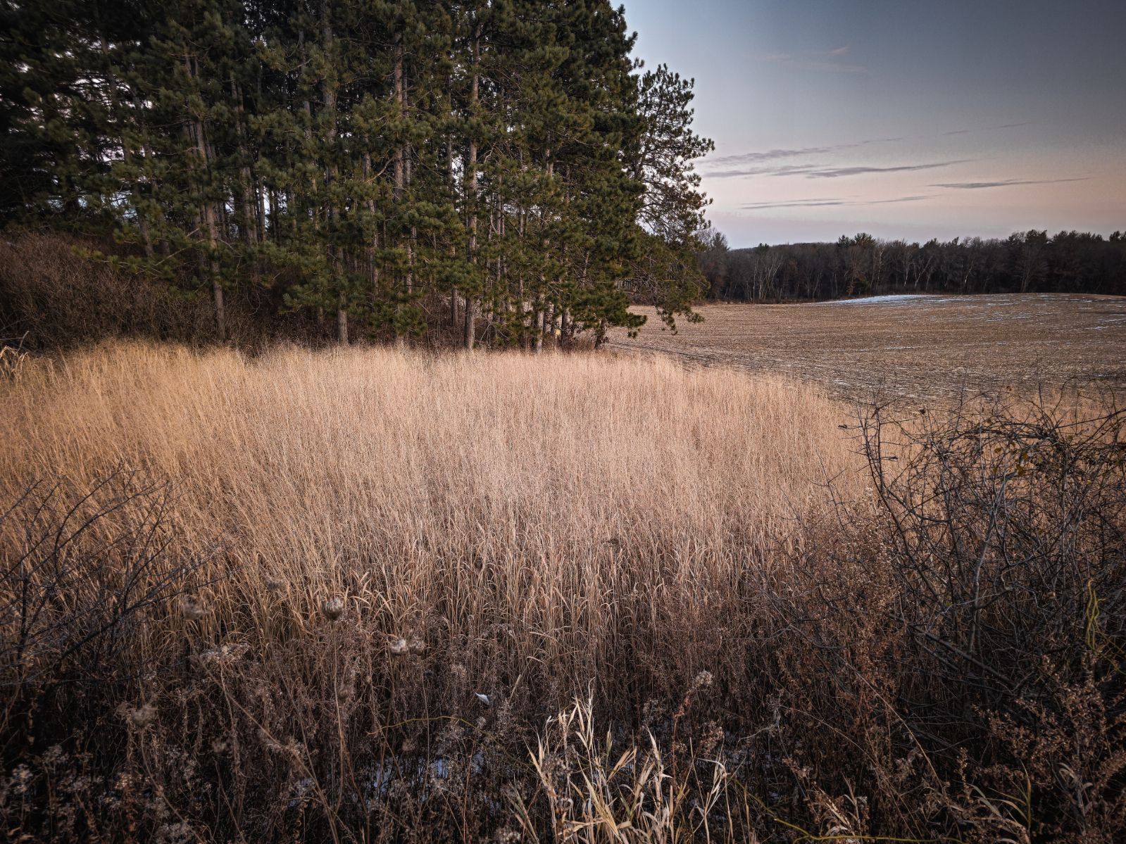 Does all habitat improvement for deer hunting have to be food?
