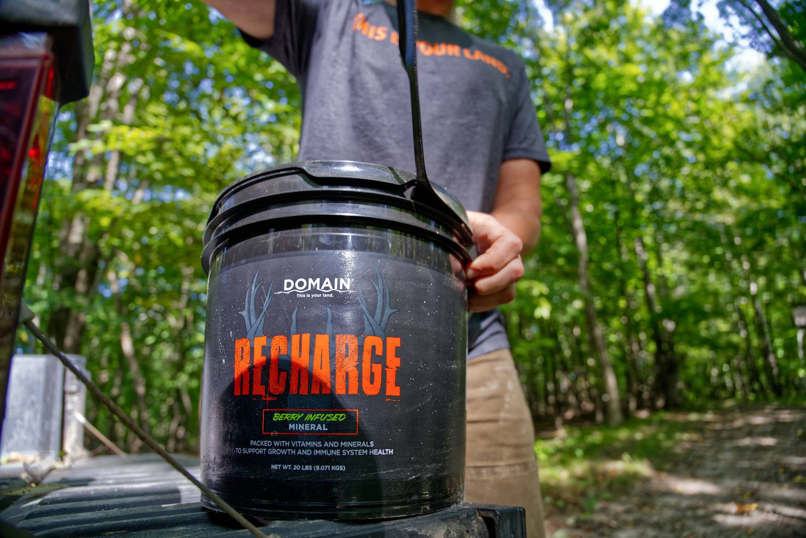 Minerals And Feeding Deer