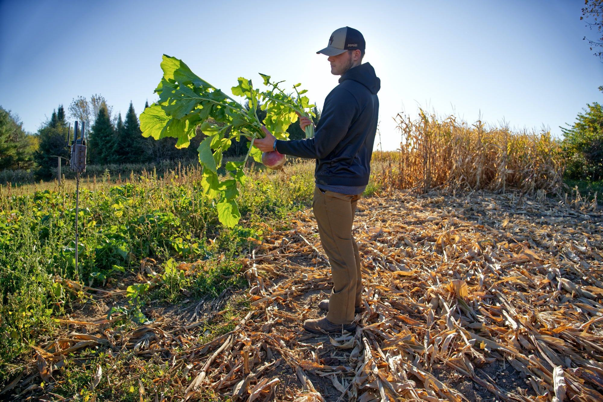 Winter Food Sources for Whitetail Deer: Helping Wildlife Thrive Through the Cold Months