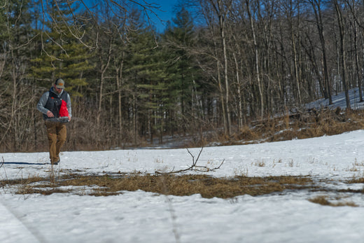 Frost Seeding: A Proven Strategy for Better Food Plots
