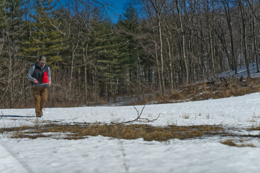 Frost Seeding: A Proven Strategy for Better Food Plots