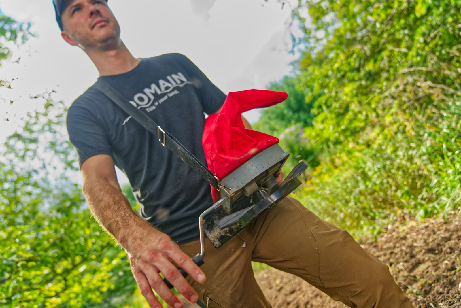 Why a Variety of Food Plots is Key for a Thriving Deer Herd and Healthy Soil