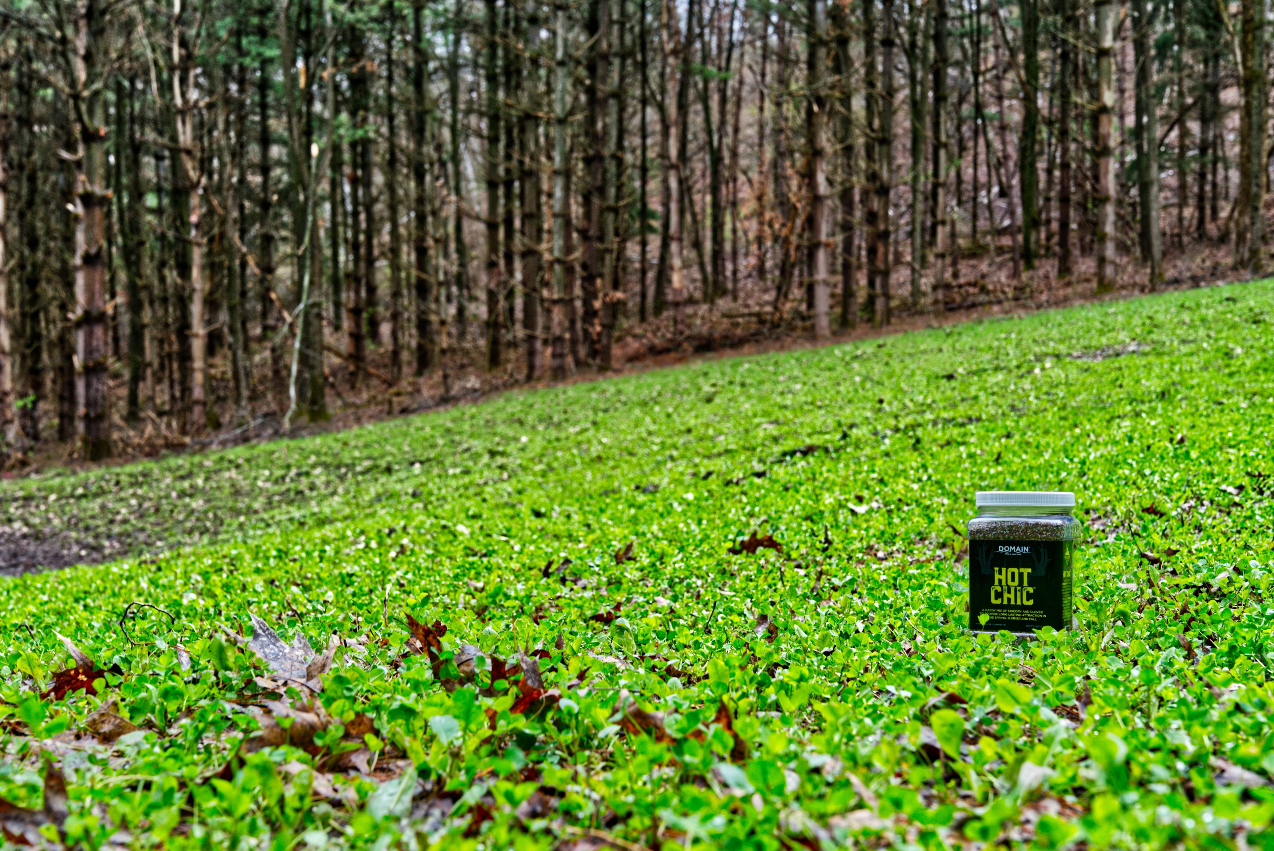 THE “LAZY” WAY TO A PERFECT PLOT: A NO-BS GUIDE TO FROST SEEDING (MIDW ...