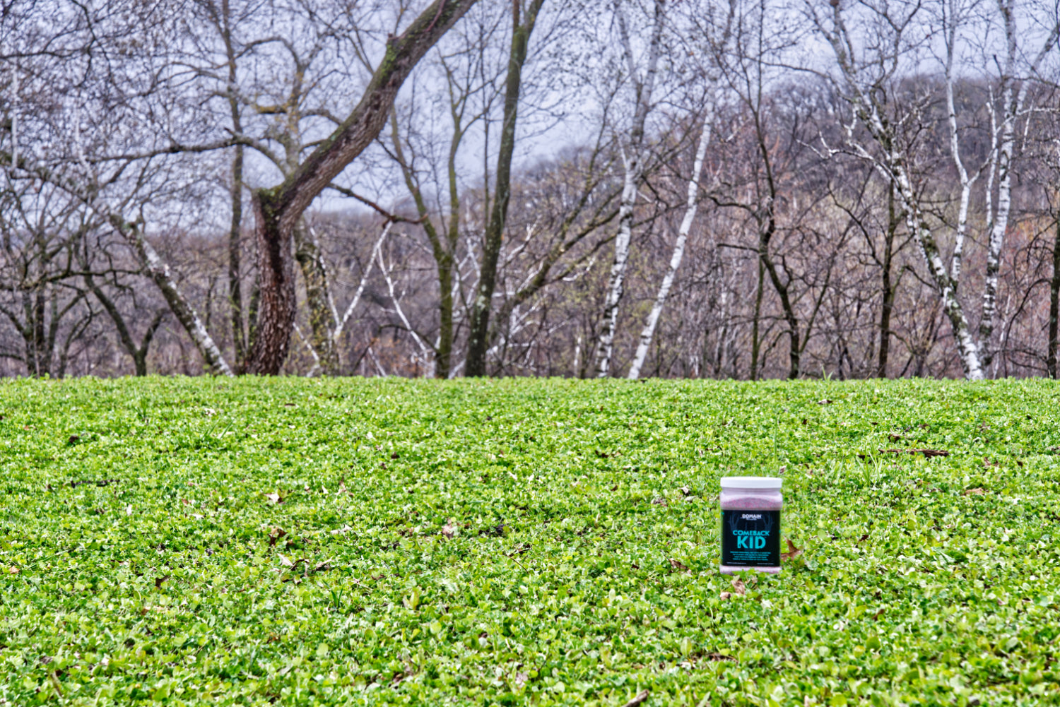 Plotting on a Budget