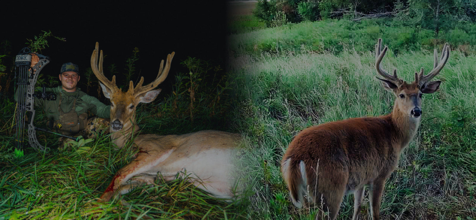 Your Summer Buck Isn’t Your September Buck