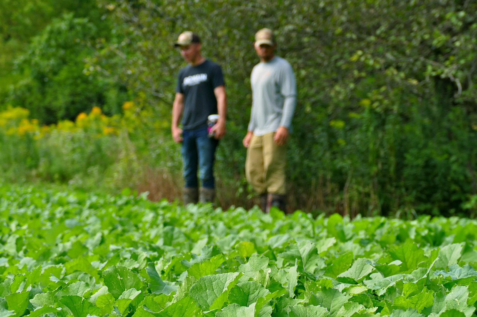 Big Sexy is One Sexy Beast