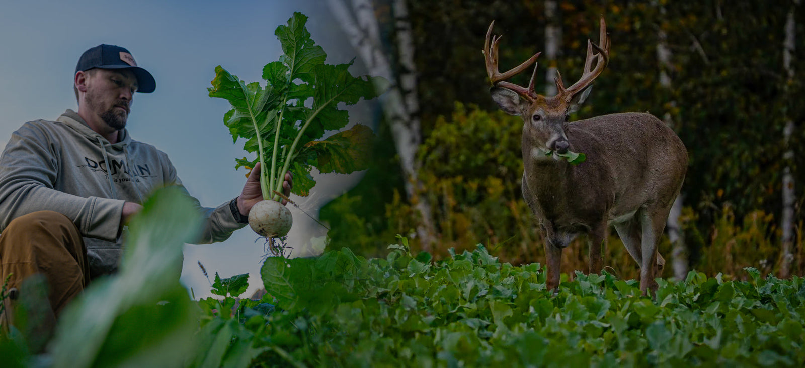 Build Your Domain: 8 Big Leaguers in Our Fall Food Plot Seed Lineup