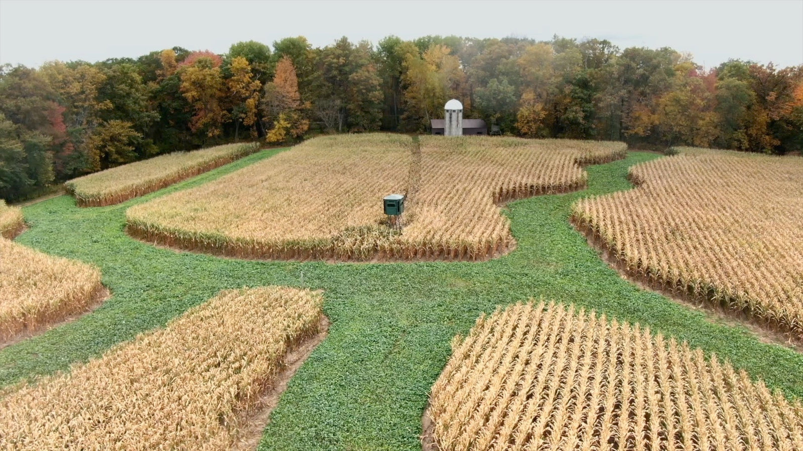 Food Plots in Agriculture-Heavy Areas: Strategies for Success