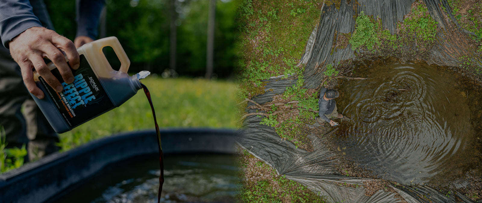 The Missing Piece of Whitetail Habitat: Why Water Deserves a Place in Every Management Plan