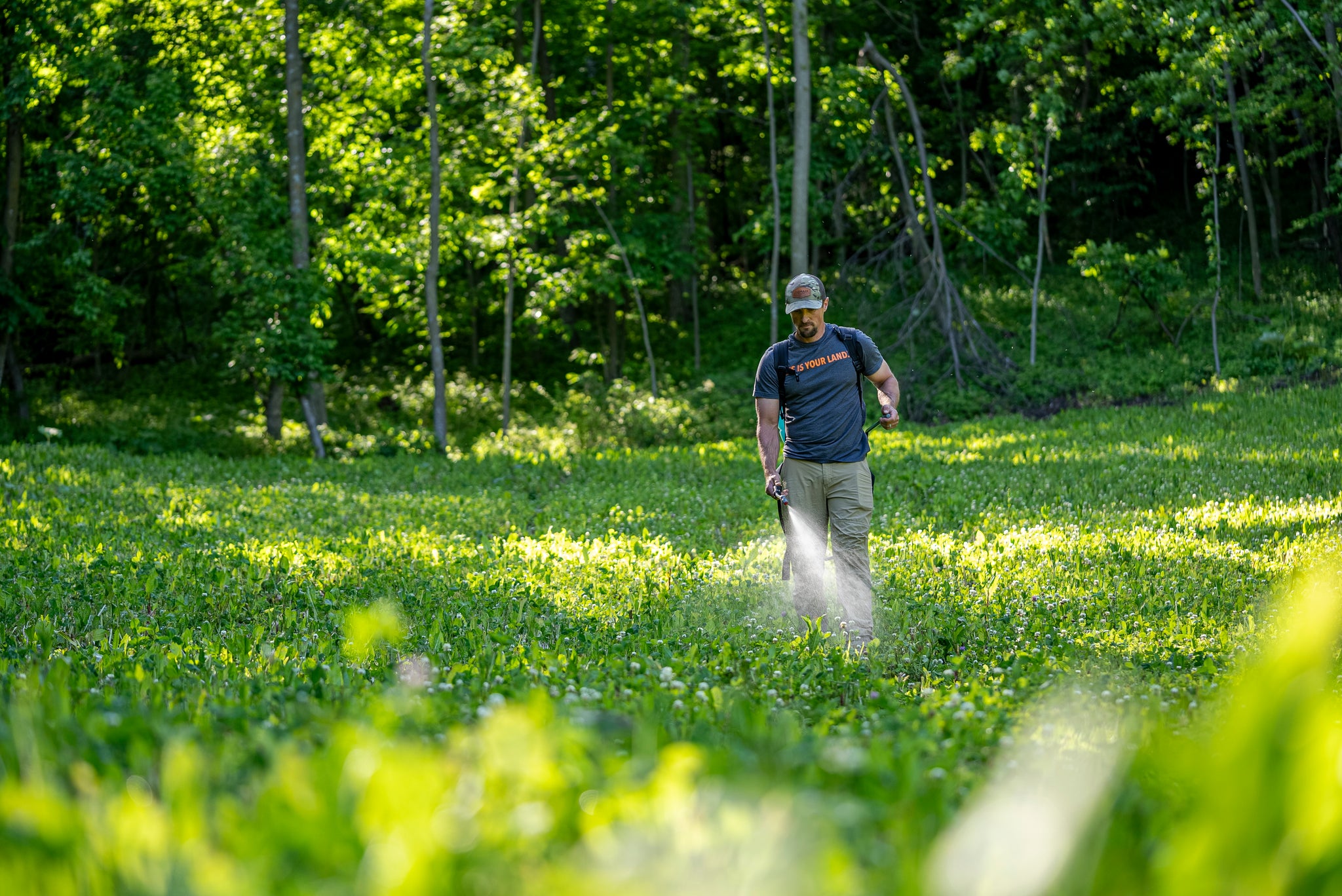 food plot seed for spring planting Perennial Bundle Food Plot Seed