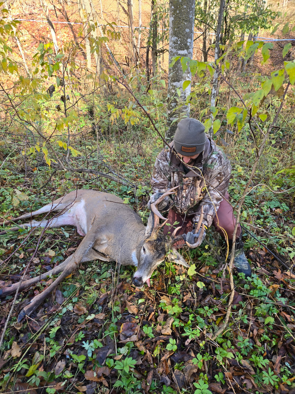 Domain Green Killin Beanie