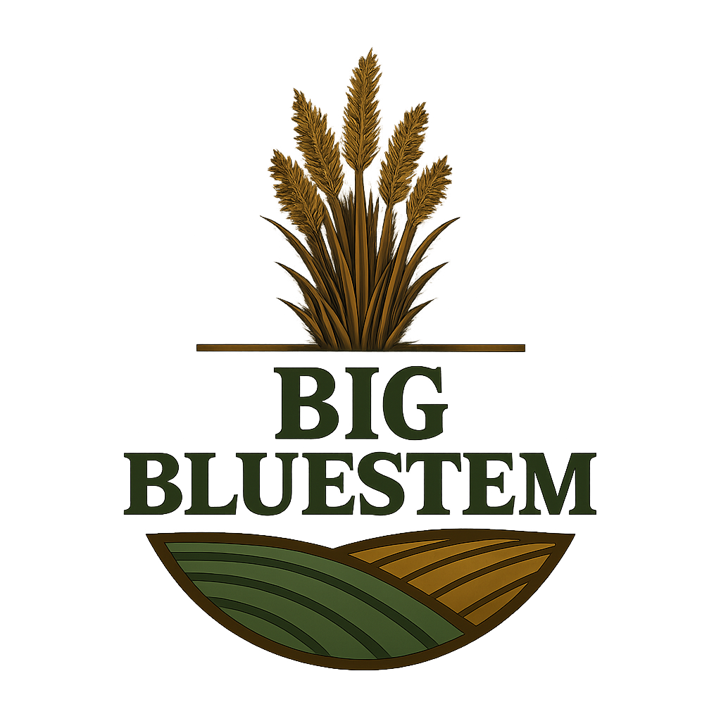 Big Bluestem