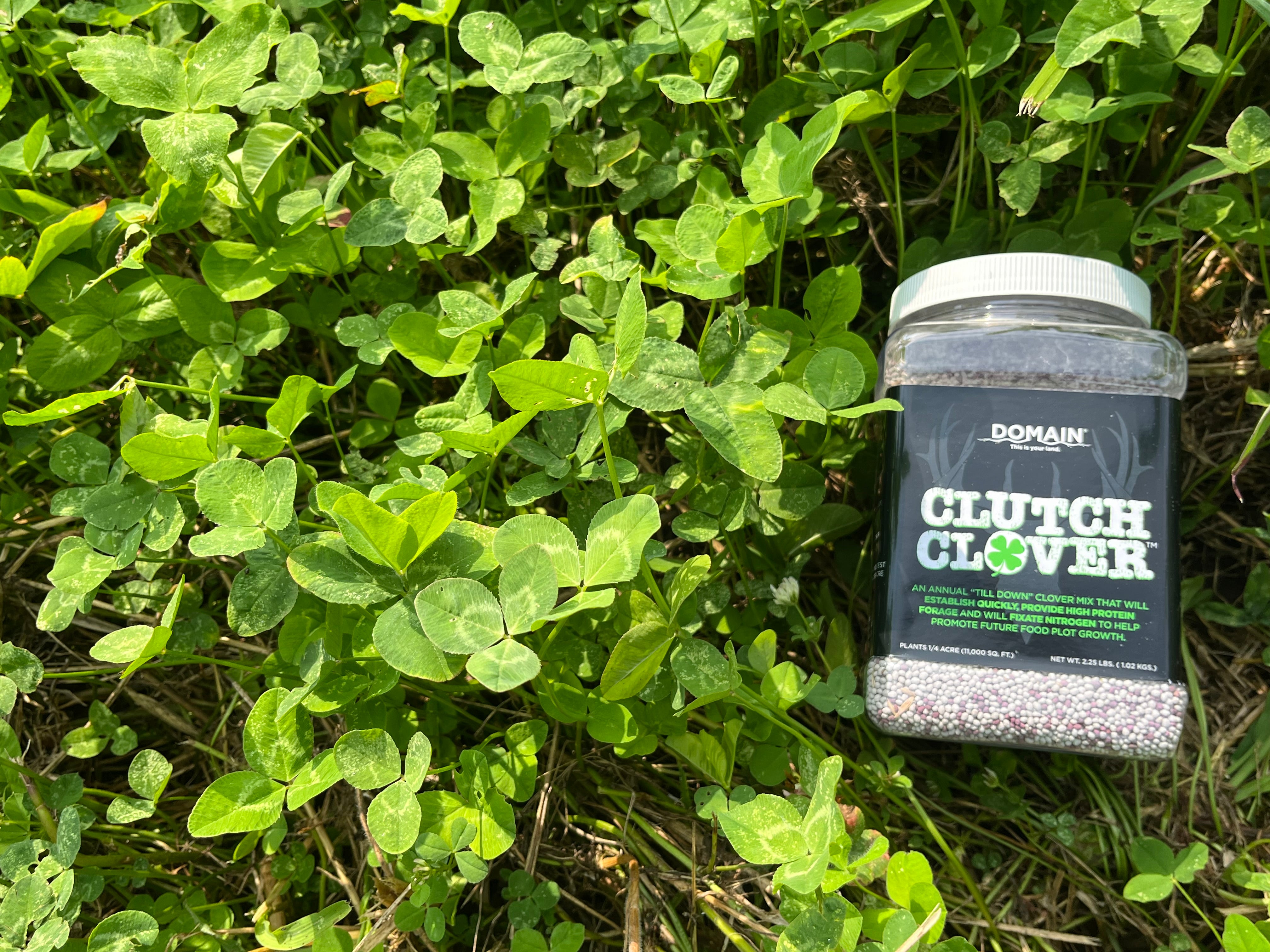 Clutch Clover™ Food Plot Seed - Domain Outdoor