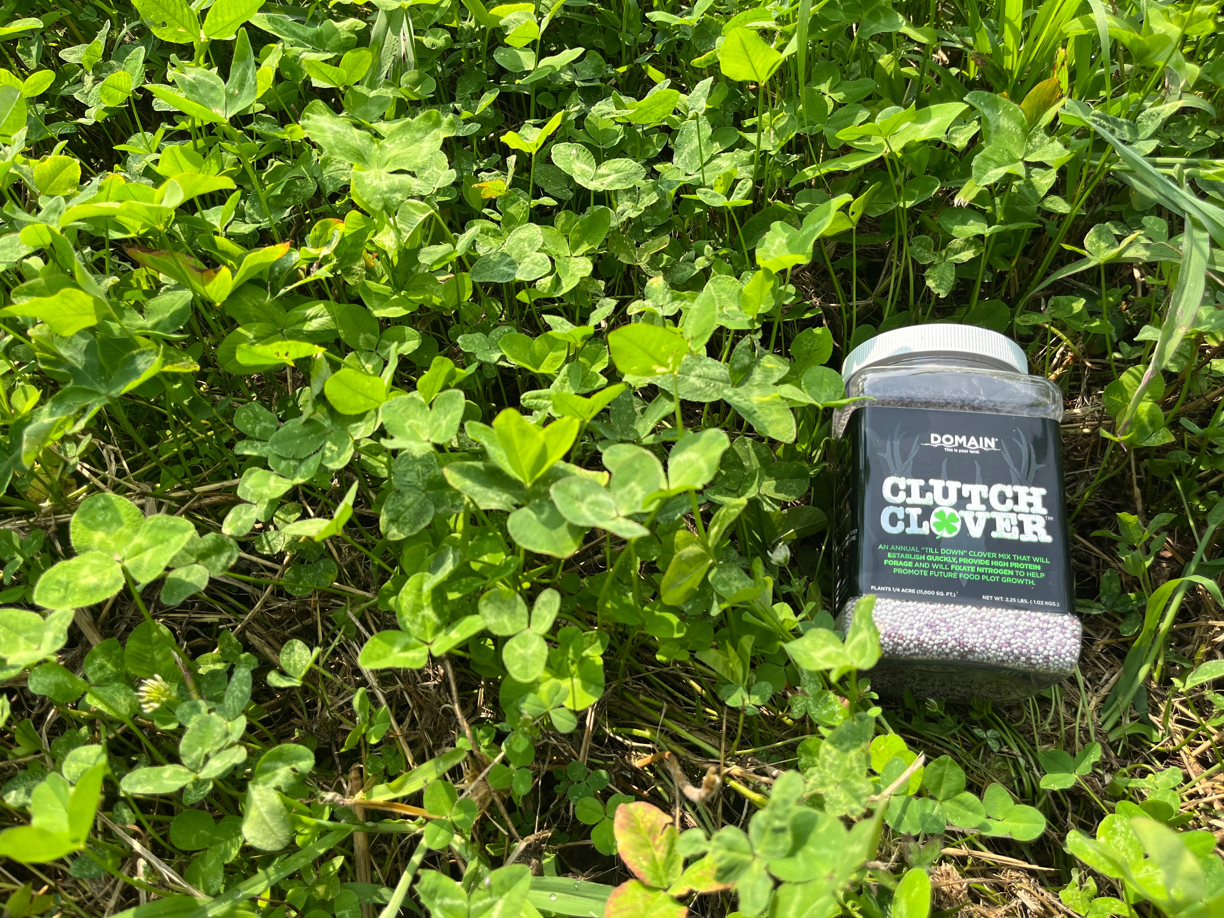 Clutch Clover™ Food Plot Seed - Domain Outdoor