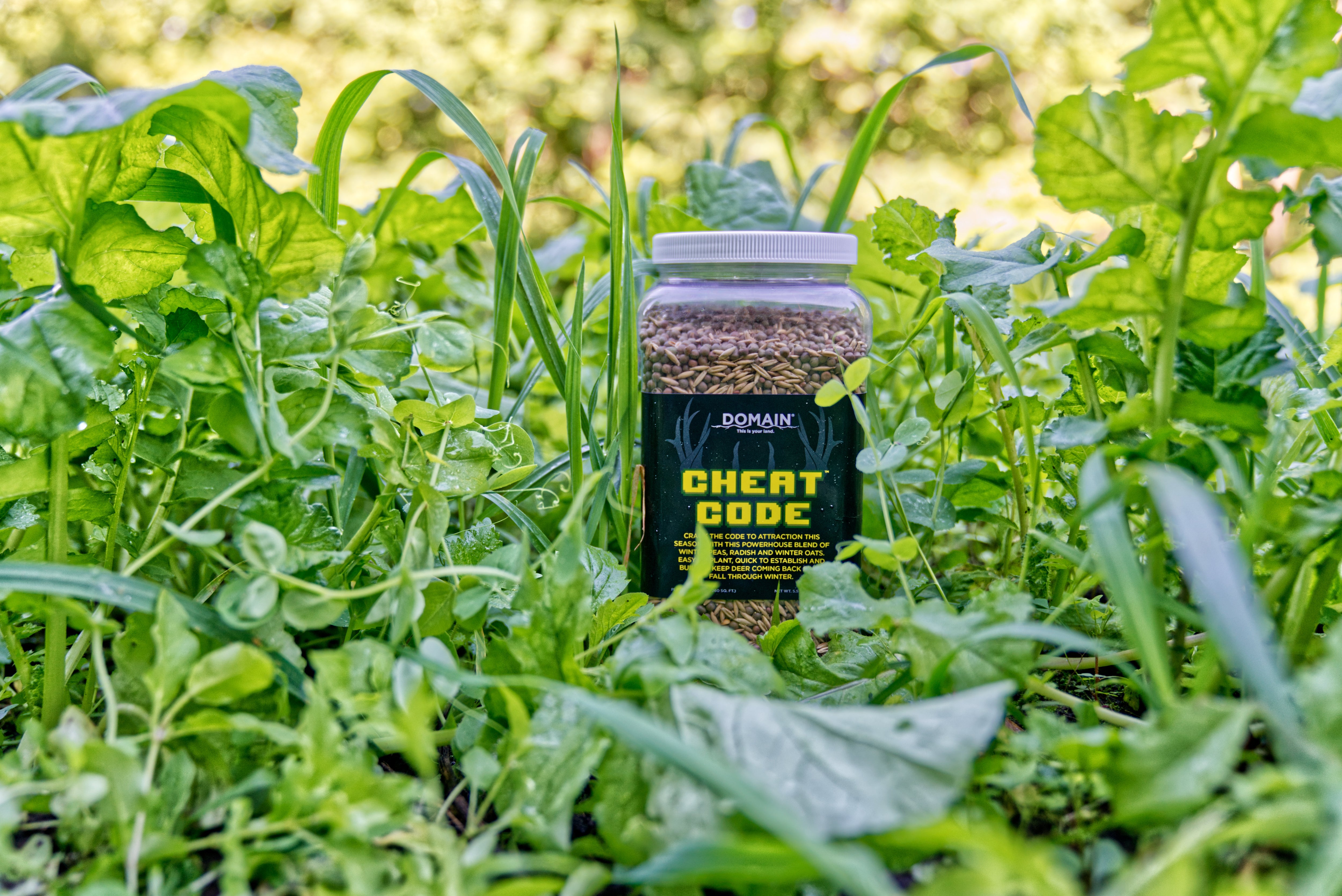 Cheat Code™ Food Plot Seed - Domain Outdoor