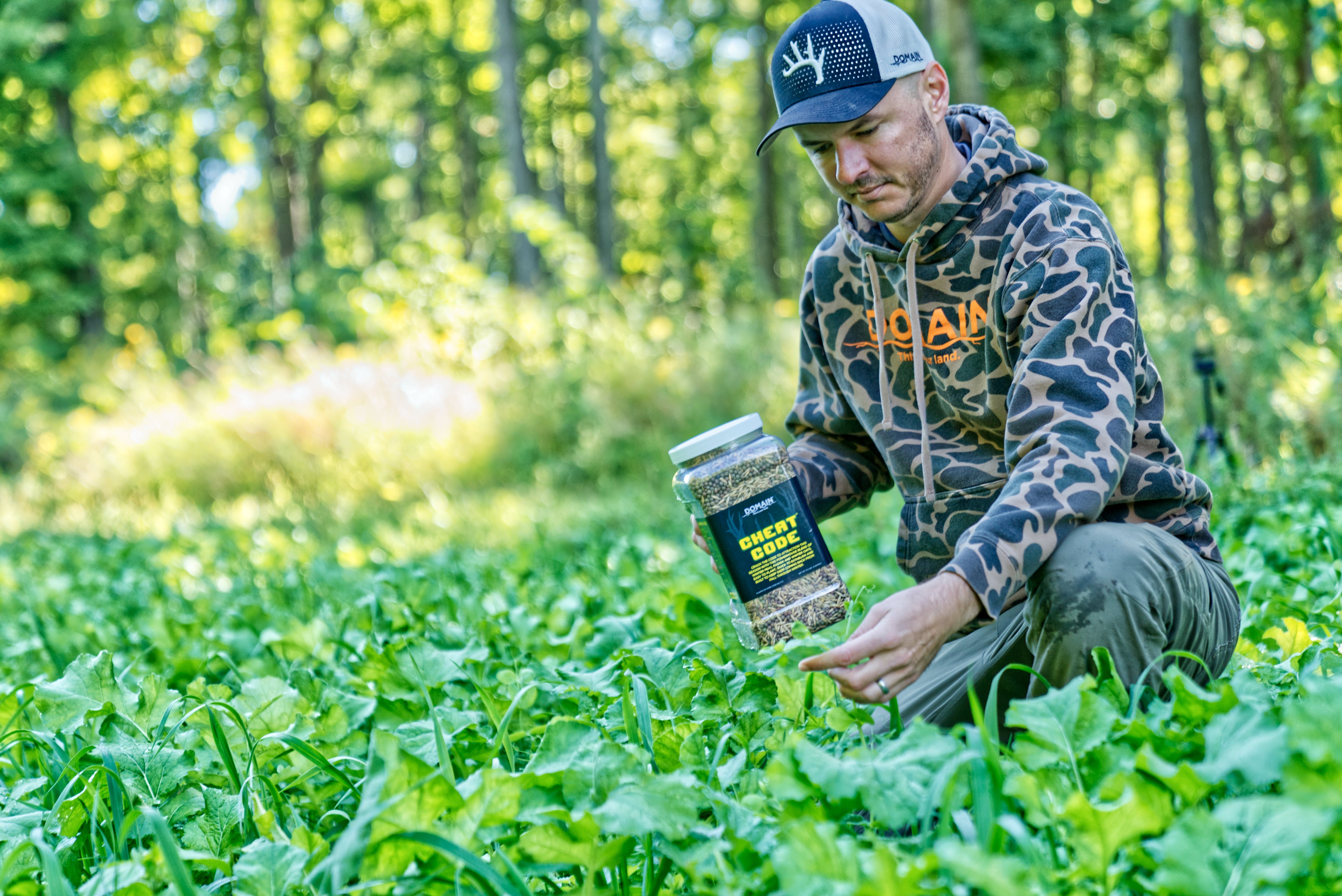 Cheat Code™ Food Plot Seed - Domain Outdoor