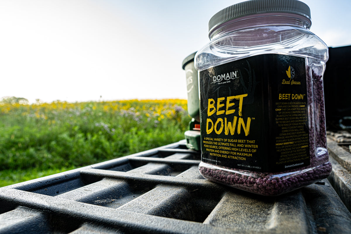 Beet Down™ Food Plot Seed