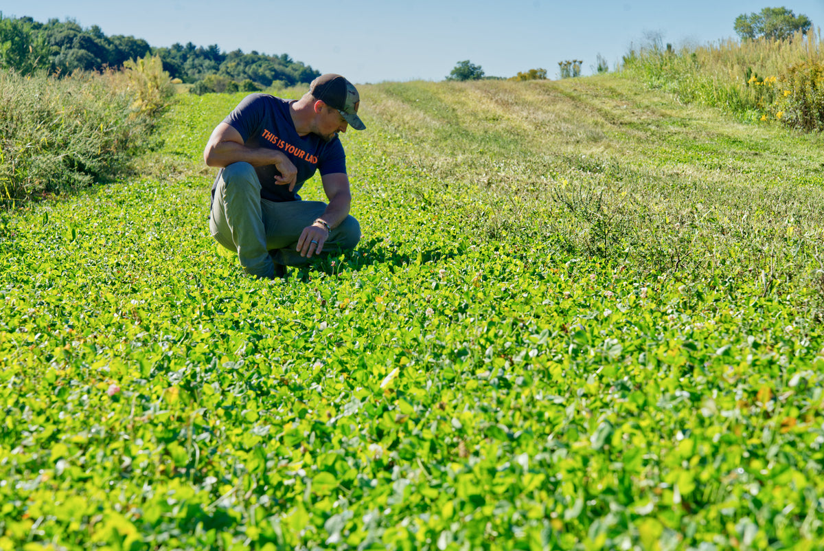 Crop Rocket Biological Fertilizer