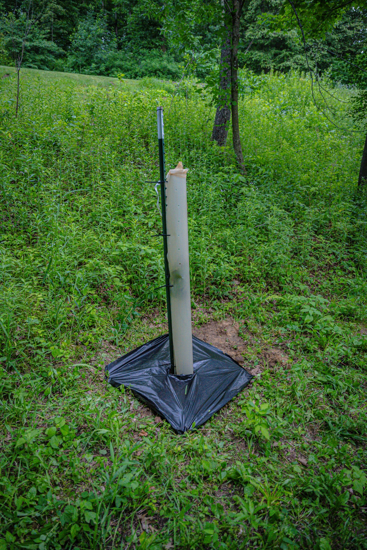 Tree Survival Kit - 1 Year Tree Guarantee