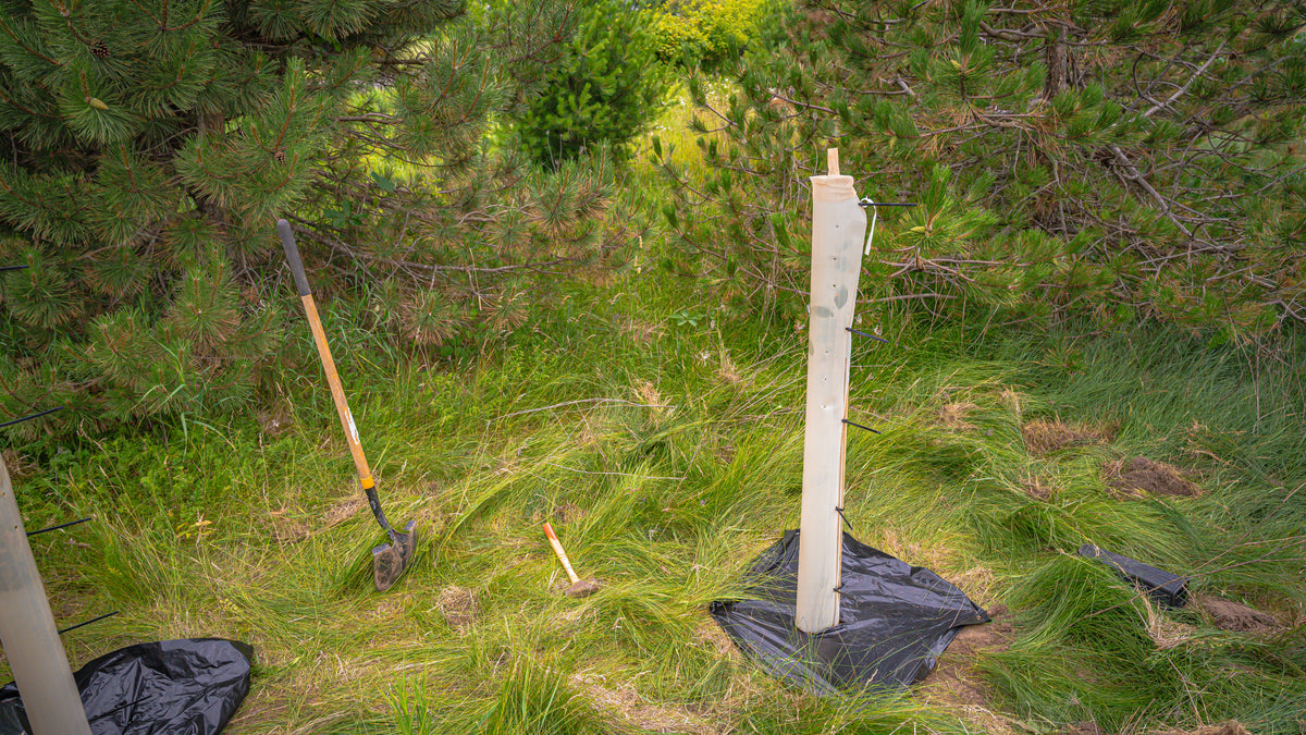 Tree Survival Kit - 1 Year Tree Guarantee