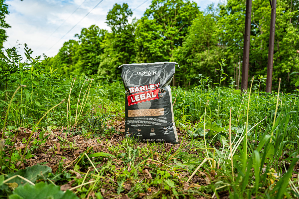 Barley Legal Food Plot Seed