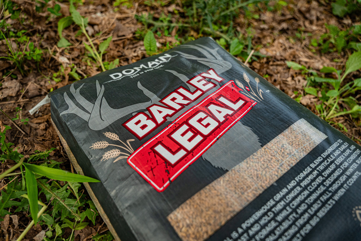 Barley Legal Food Plot Seed