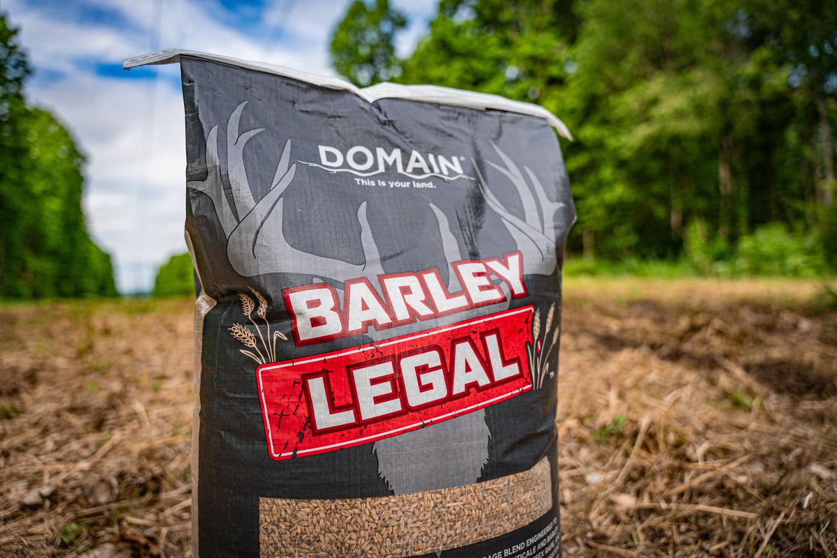 Barley Legal Food Plot Seed