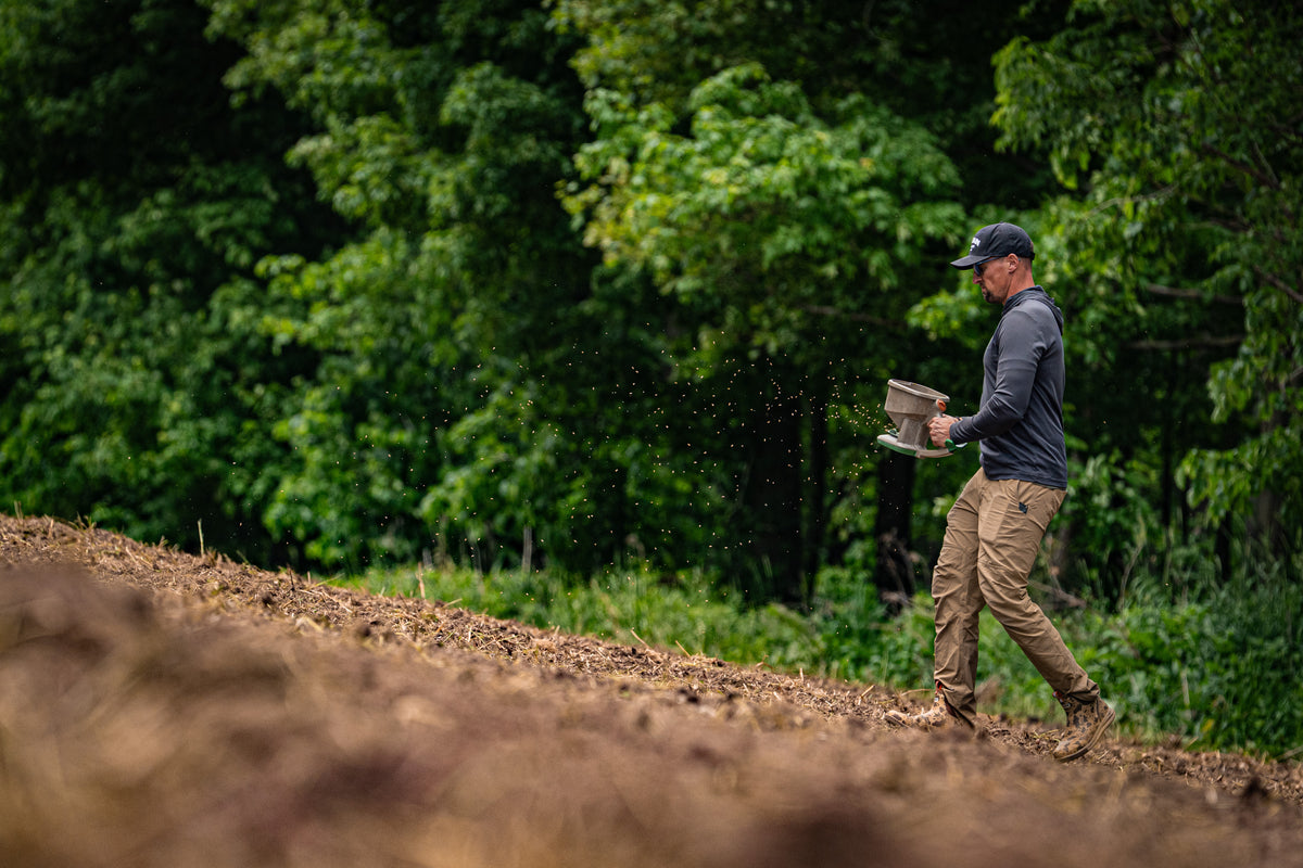 Barley Legal Food Plot Seed