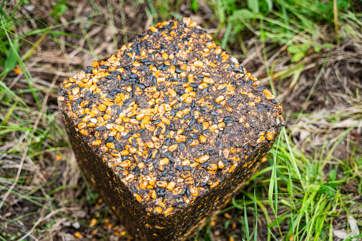 Pre Game 25LB Deer Feed Block