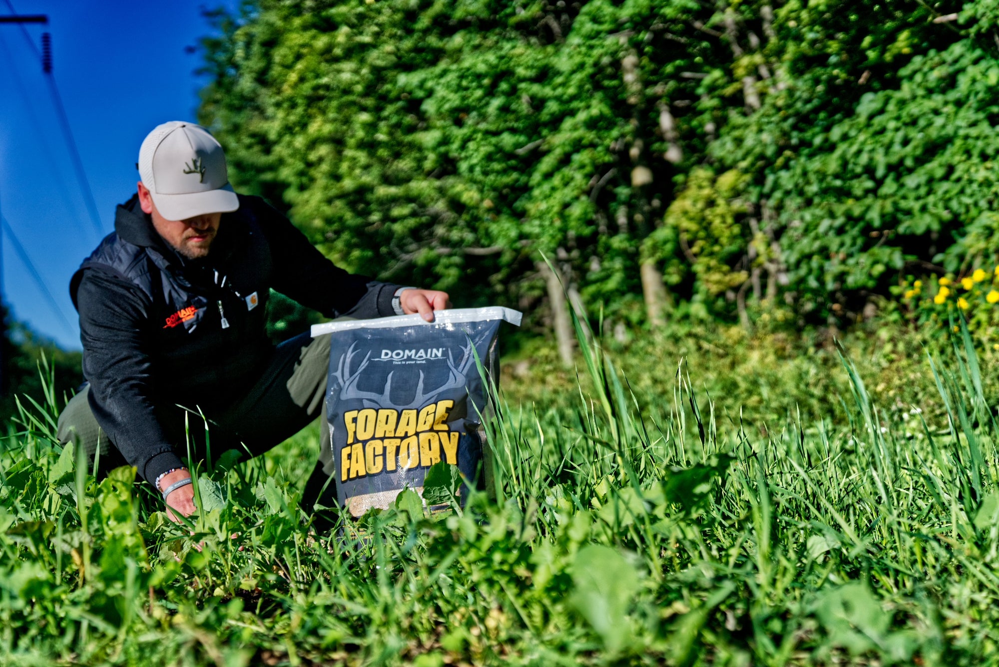 Forage Factory™ Food Plot Seed - Domain Outdoor