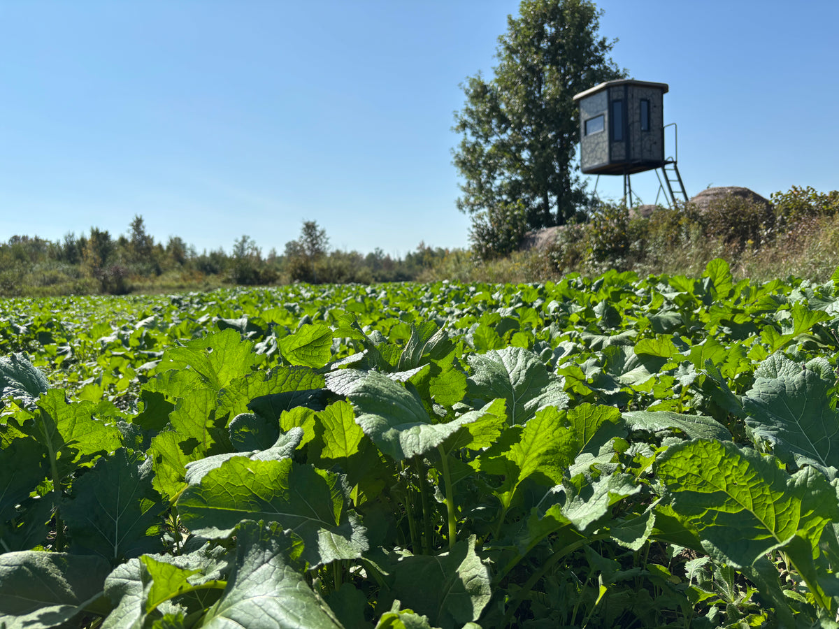 Crop Rocket Biological Fertilizer