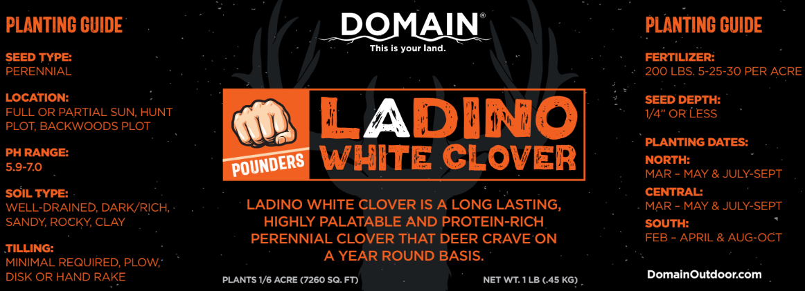 Domain Pounder - Ladino Clover