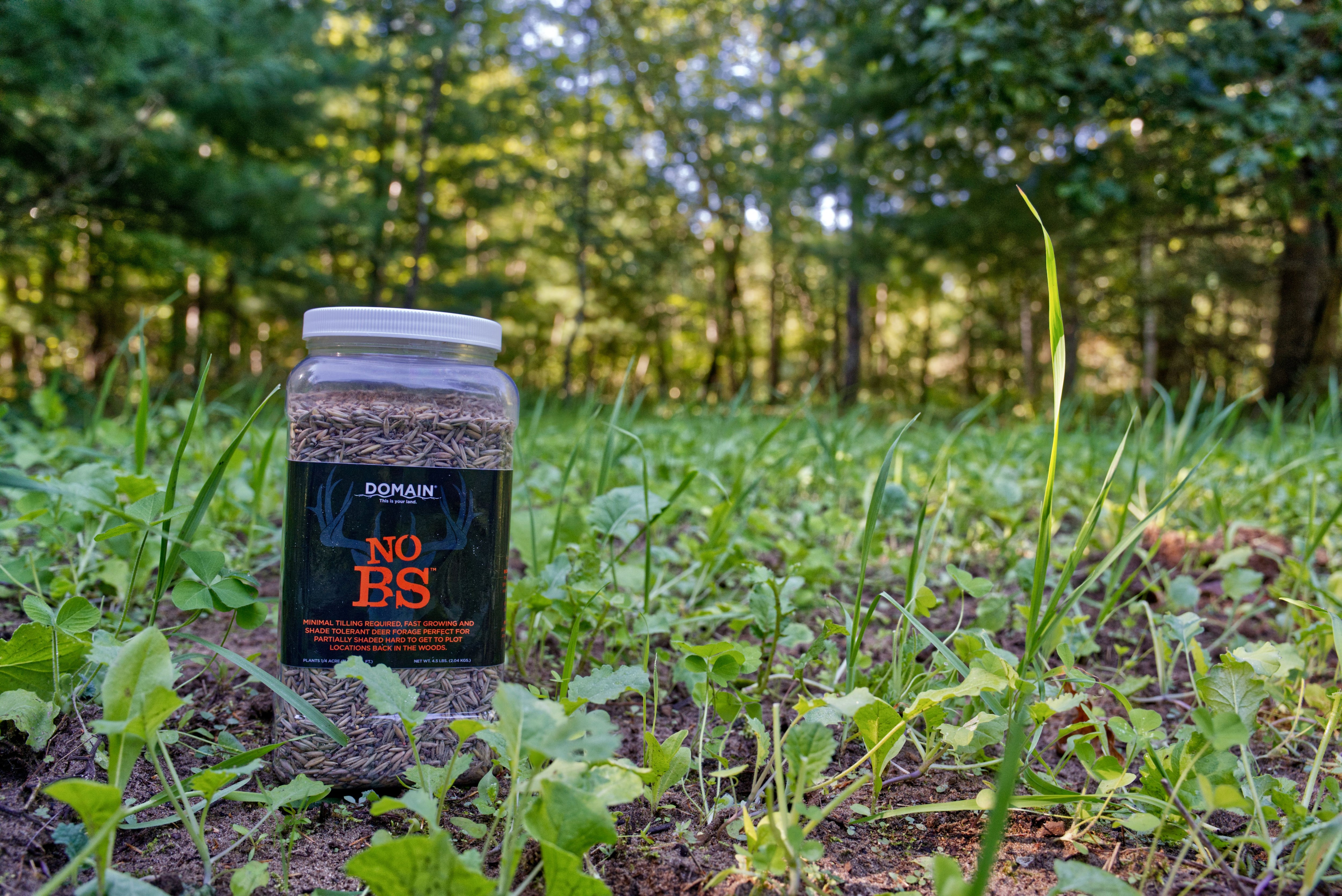 best food plot seed to plant in september No BS™ Food Plot Seed