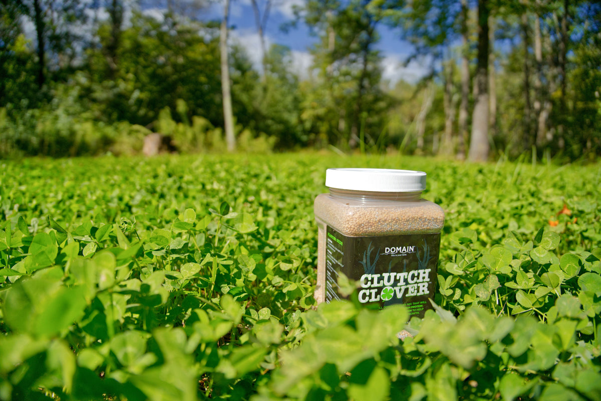 Clutch Clover™