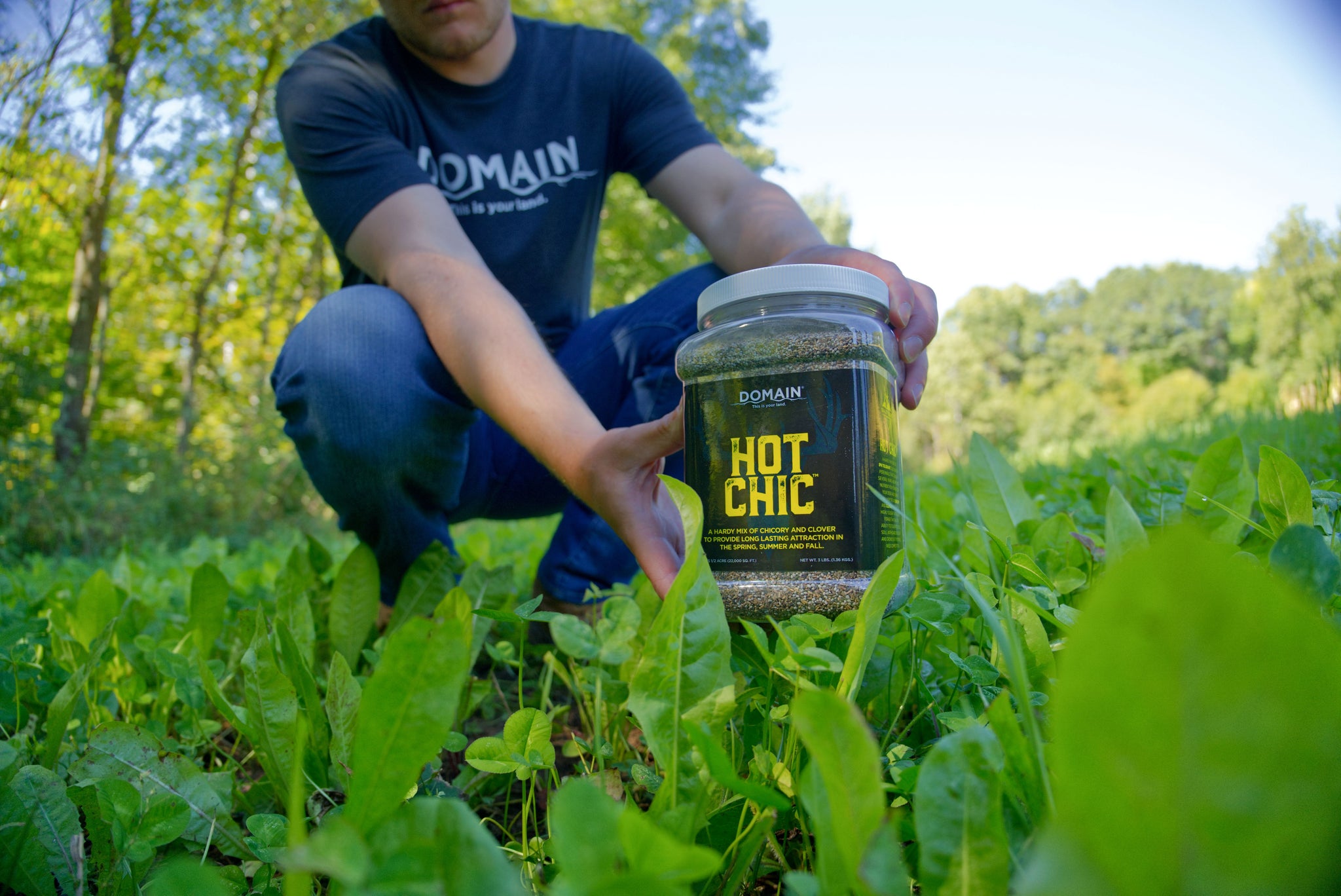best food plot seed to plant in september Hot Chic™ Food Plot Seed