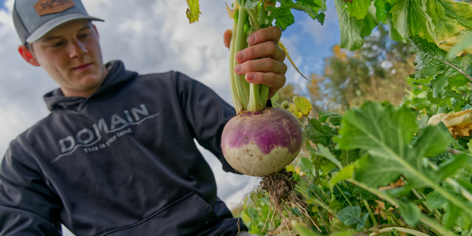 Big Sexy Food Plot Bulb